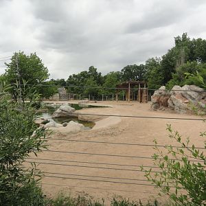 Indian Rhino Exhibit