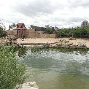 Asian Elephant Exhibit