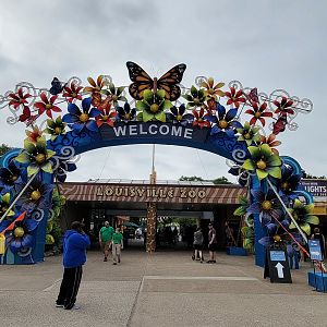 Louisville 5/22 - Entrance