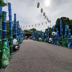 Louisville 5/22 - Path to Africa