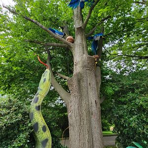 Louisville 5/22 - Lantern festival, snake and birds