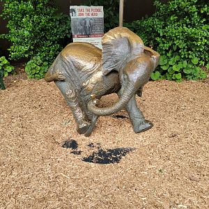 Louisville 5/22 - Elephant calf statue