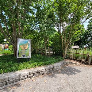 Louisville 5/22 - Ghosts of Madagascar (ringtailed lemurs)