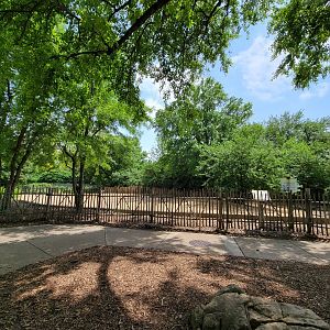 Louisville 5/22 - Rhinoceros