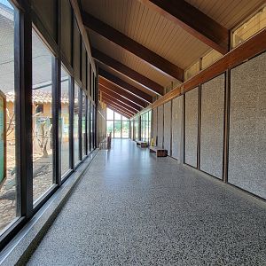 Louisville 5/22 - Giraffe House