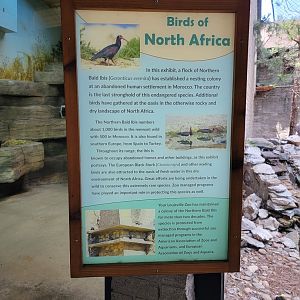 Louisville 5/22 - Giraffe House, Waldrapp ibis exhibit information