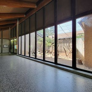 Louisville 5/22 - Giraffe House, Waldrapp ibis exhibit