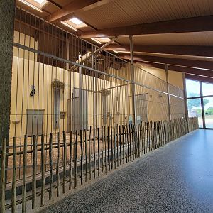 Louisville 5/22 - Giraffe House, giraffe indoor area