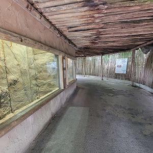 Louisville 5/22 - Meerkat indoor area, naked mole-rats