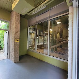 Louisville 5/22 - Guereza Colobus / Schmidt's red-tailed monkey indoor area