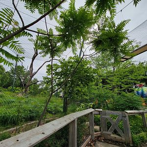 Louisville 5/22 - Guereza Colobus / Schmidt's red-tailed monkey exhibit and paths