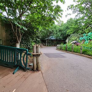 Louisville 5/22 - Path past the hippos