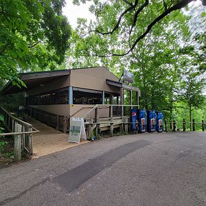 Louisville 5/22 - Congo gift shop