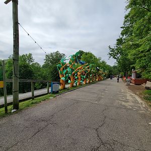 Louisville 5/22 - Path from gorillas to Asian cats