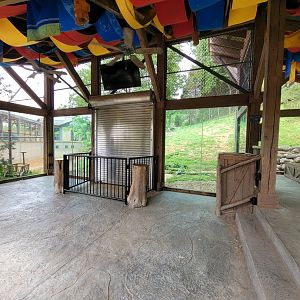 Louisville 5/22 - Tiger Taiga