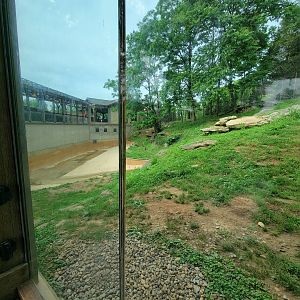 Louisville 5/22 - Tiger Taiga