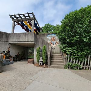 Louisville 5/22 - Tiger Taiga