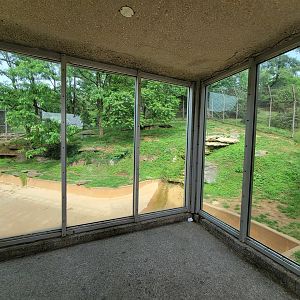 Louisville 5/22 - Tiger Taiga