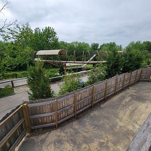 Louisville 5/22 - Main path, snow leopard/tiger walk from above