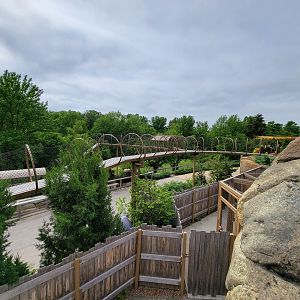 Louisville 5/22 - Main path, snow leopard/tiger walk from above