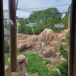 Louisville 5/22 - Snow Leopard Pass