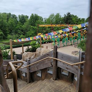 Louisville 5/22 - Snow Leopard Pass stairs