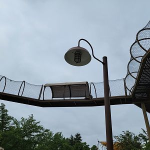 Louisville 5/22 - Snow leopard overhead