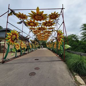Louisville 5/22 - Lantern walkway past Asian cats