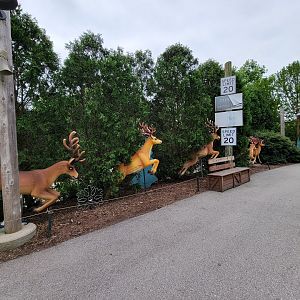 Louisville 5/22 - Glacier Run path