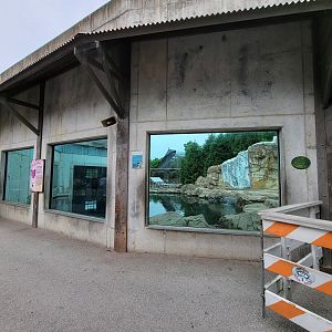 Louisville 5/22 - Glacier Run, polar bear / brown bear exhibit pool