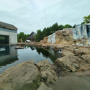 Louisville 5/22 - Glacier Run, polar bear / brown bear exhibit pool