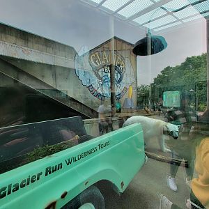 Louisville 5/22 - Glacier Run, polar bear / brown bear exhibit, far side area