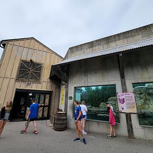 Louisville 5/22 - Glacier Run, polar bear / brown bear exhibit, another viewing room ahead