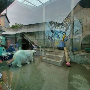 Louisville 5/22 - Glacier Run, polar bear / brown bear exhibit, far exhibit