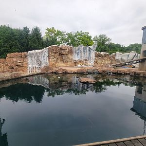 Louisville 5/22 - Glacier Run, polar bear / brown bear exhibit pool from indoors