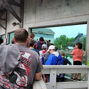 Louisville 5/22 - Glacier Run, brown bear greeting people