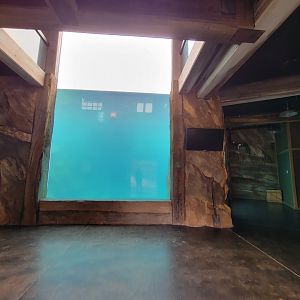 Louisville 5/22 - Glacier Run, pool viewing from indoors ground floor