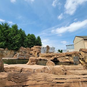 Louisville 5/22 - Glacier Run, pinniped pools