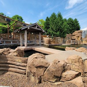 Louisville 5/22 - Glacier Run, pinniped presentation area