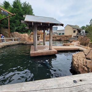 Louisville 5/22 - Glacier Run, pinniped presentation pool