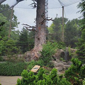 Louisville 5/22 - Glacier Run, Sea Eagle Aviary (closed)