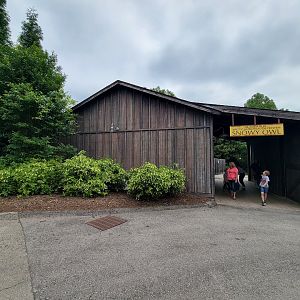 Louisville 5/22 - Glacier Run, Snowy owl