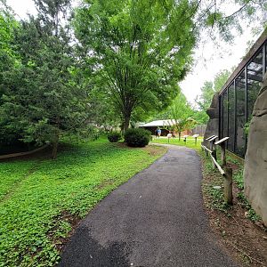 Louisville 5/22 - Wallaroo Walkabout path