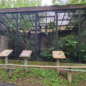 Louisville 5/22 - Wallaroo Walkabout, tawny frogmouth on left, laughing kookaburra on right