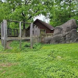 Louisville 5/22 - Wallaroo Walkabout, emu enclosure
