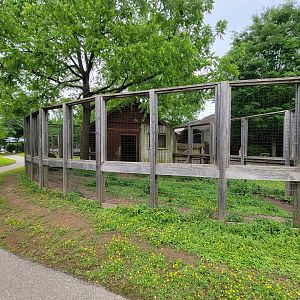 Louisville 5/22 - Wallaroo Walkabout, emu enclosure