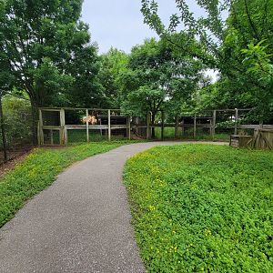 Louisville 5/22 - Wallaroo Walkabout path, more emus