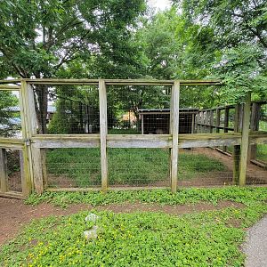Louisville 5/22 - Wallaroo Walkabout, Emus
