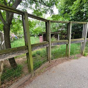Louisville 5/22 - Wallaroo Walkabout, third emu enclosure