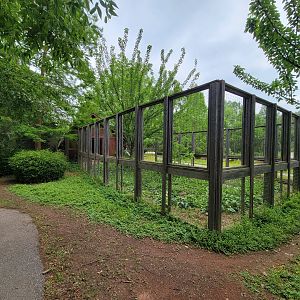 Louisville 5/22 - Wallaroo Walkabout, unsigned crane